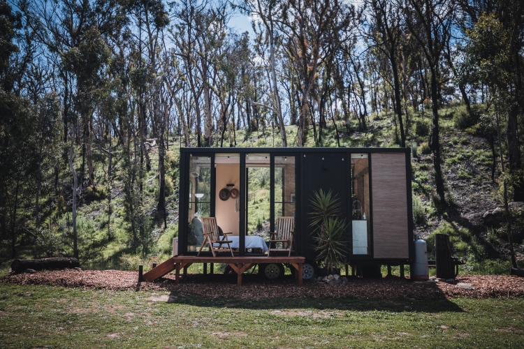 Tiny house bois et grandes baies vitrées